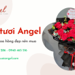 Top 10 mẫu bó hoa hồng đỏ đẹp nên mua tại Shop Hoa Tươi Angel