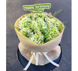 bo-hoa-cam-tu-cau-sinh-nhat-nhe-nhang-giao-nhanh-tphcm-5358.jpg