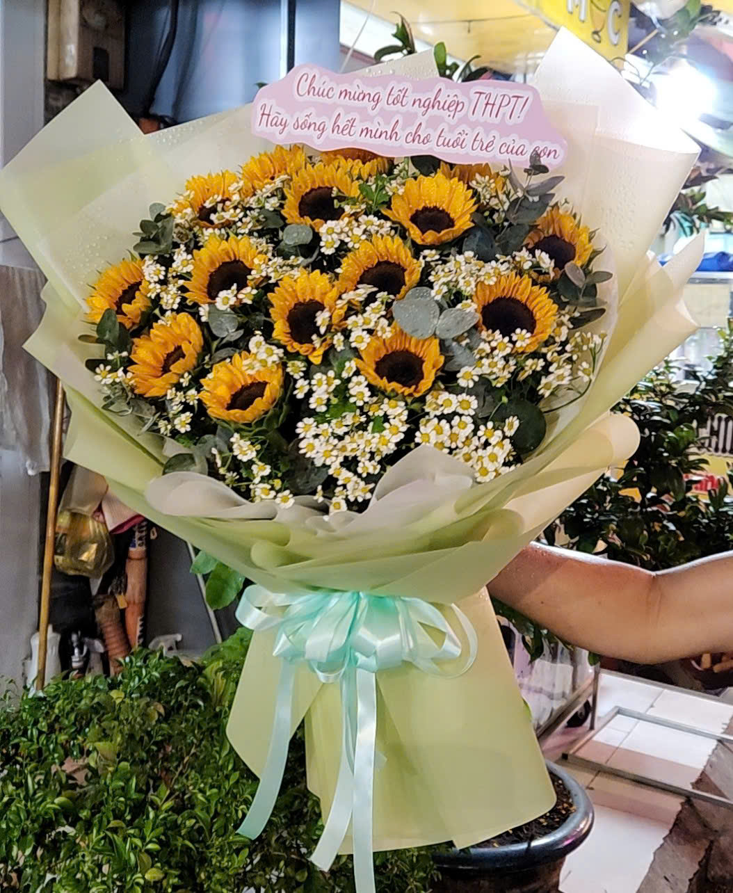 Bó hoa hướng dương chúc mừng ra trường ý nghĩa