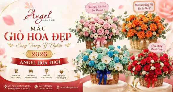 Mẫu Giỏ Hoa Đẹp, Sang Trọng, Ý Nghĩa 2026 | ANGEL HOA TƯƠI