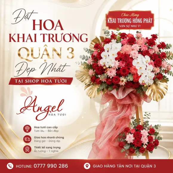 Đặt Hoa Khai Trương Quận 3 Đẹp Nhất Tại Shop Hoa Tươi Angel