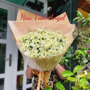 Bó Hoa Cúc Tana Đẹp Nhẹ Nhàng – Quà Tặng Tinh Tế Tại TP.HCM 