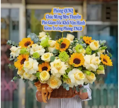 Lẵng hoa hướng dương giá rẻ
