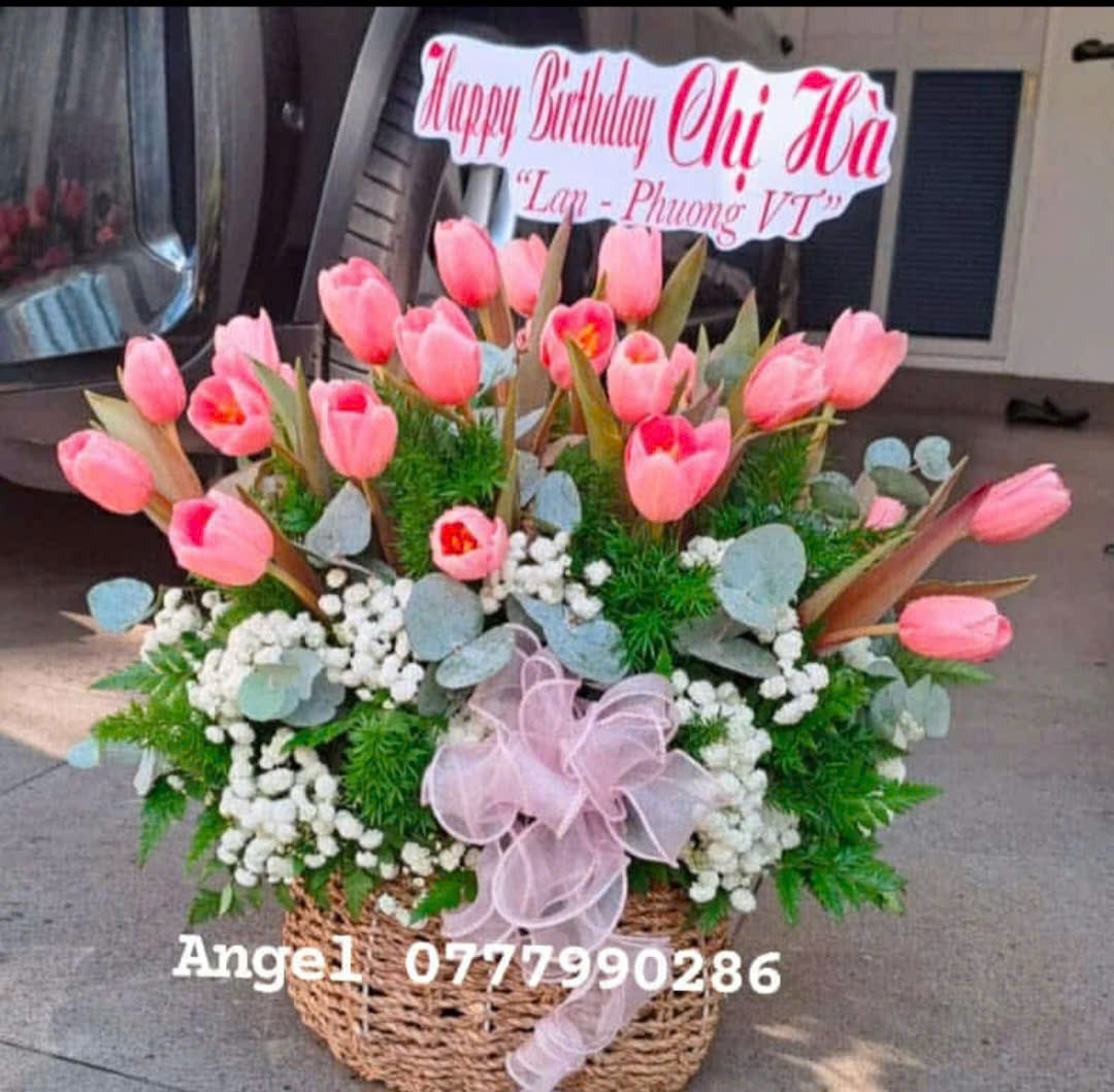 Giỏ Hoa Tullip Cam 