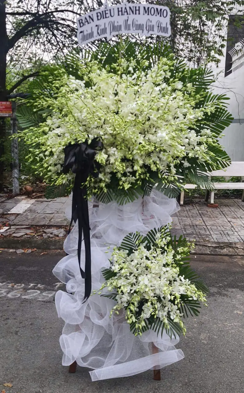 Hoa chia buồn lan trắng