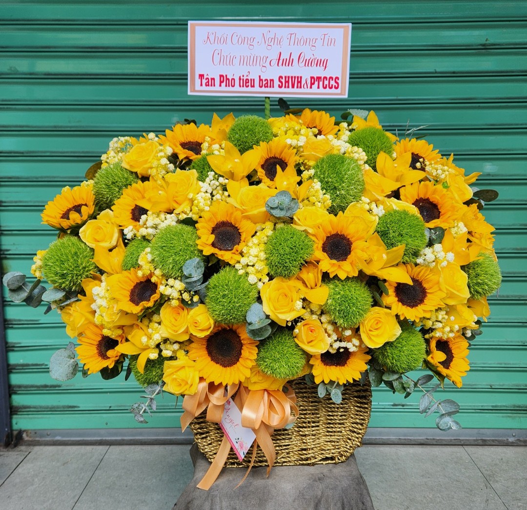 bó hoa hướng dương gói giấy xanh dương