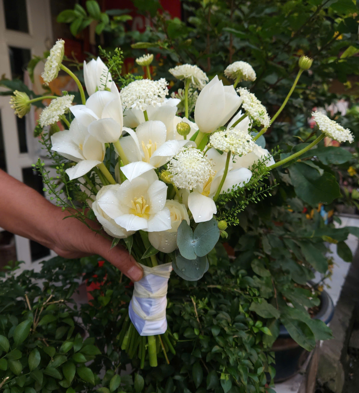 Hoa Cưới Tulip  