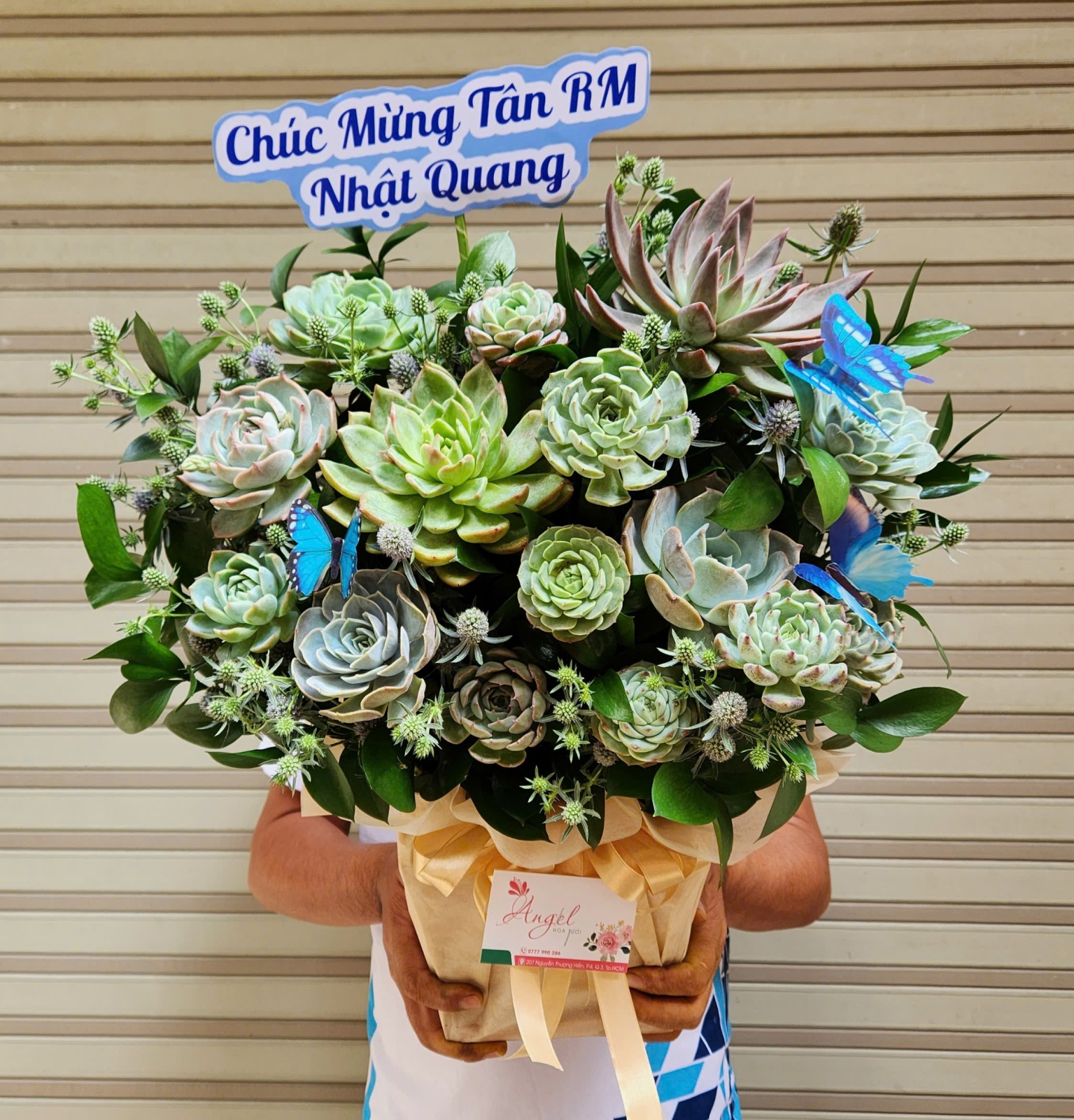 giỏ hoa sen đá giá rẻ