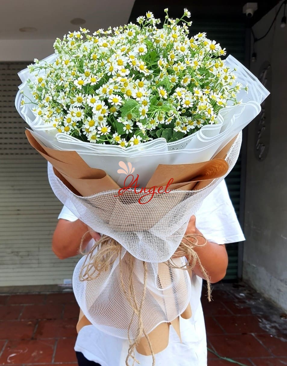 Bó Hoa Cúc Tana Đẹp TP.HCM – Giao Nhanh Trong Ngày