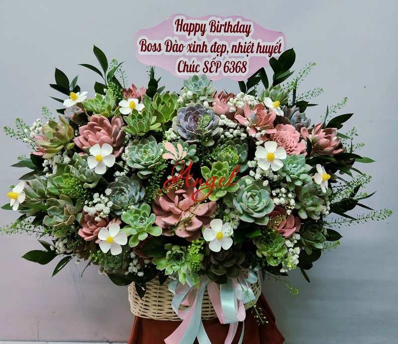 Giỏ Hoa Sen Đá Tặng Sinh Nhật Sếp Cao Cấp TP.HCM | Hoa Tươi Angel
