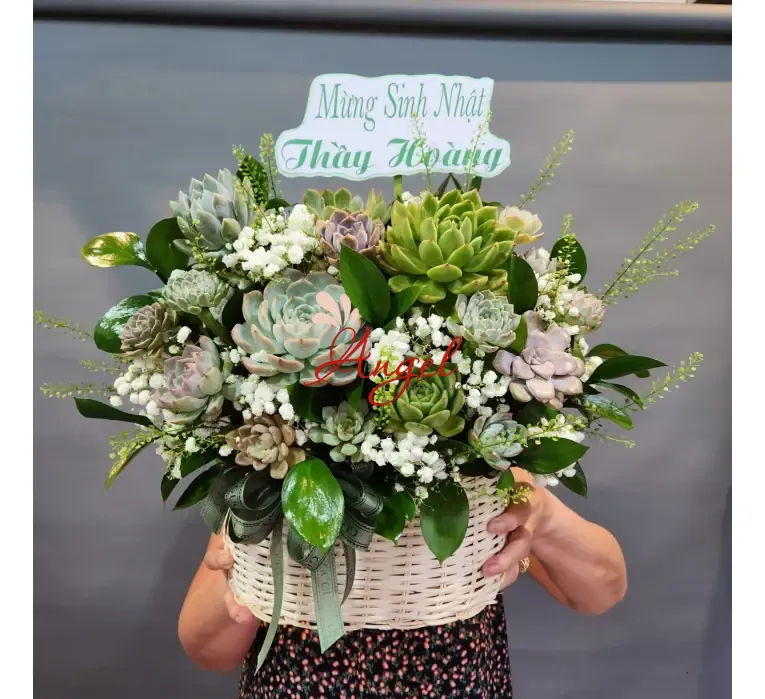 Hoa sen đá mừng khai trương