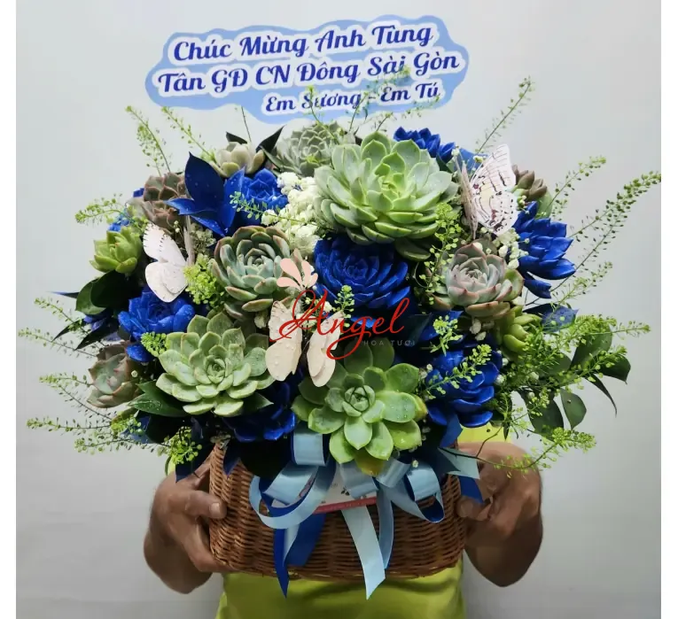 Lẵng hoa sen đá