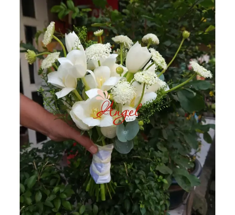 Hoa Cưới Tulip