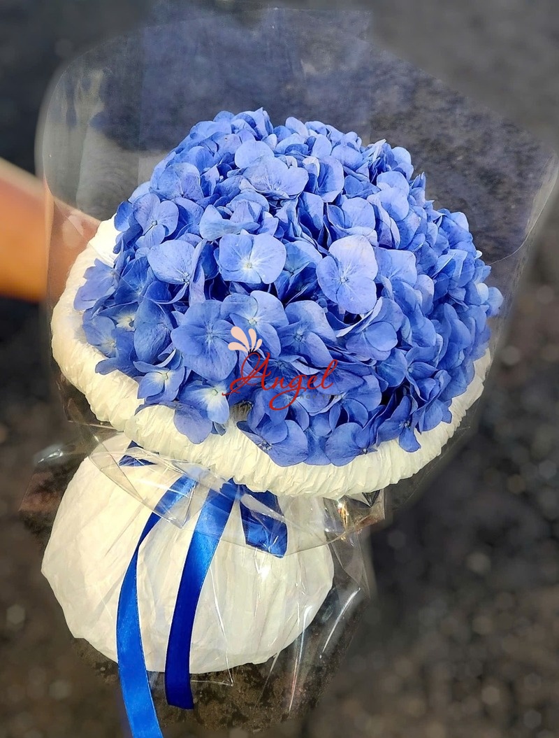 Bó Hoa Cẩm Tú Cầu Xanh Dương 1 Bông Gói Hot Trend |  Hoa Tươi Angel