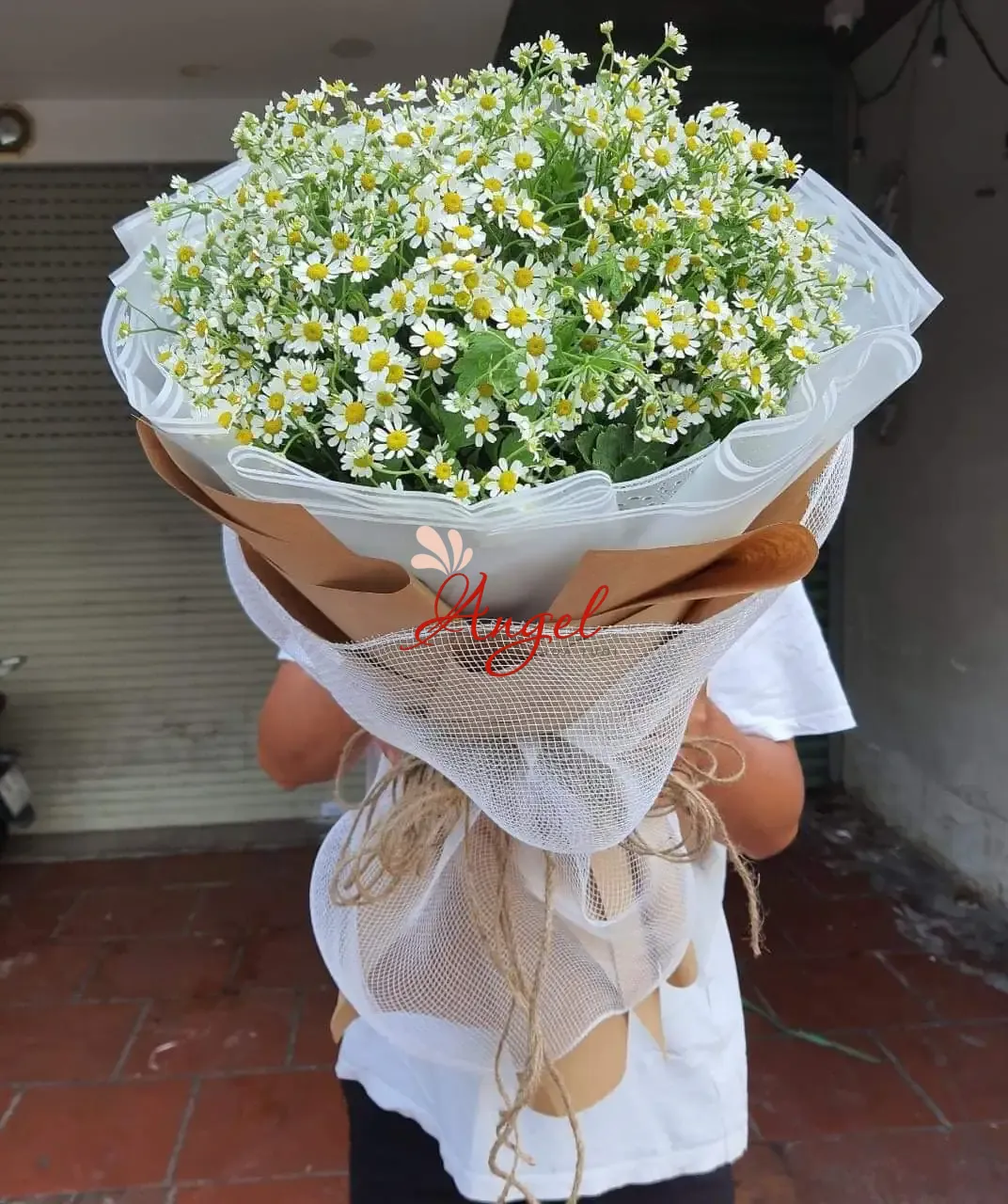 BÓ HOA CÚC TANA - CỨ THẾ MÀ CHILL
