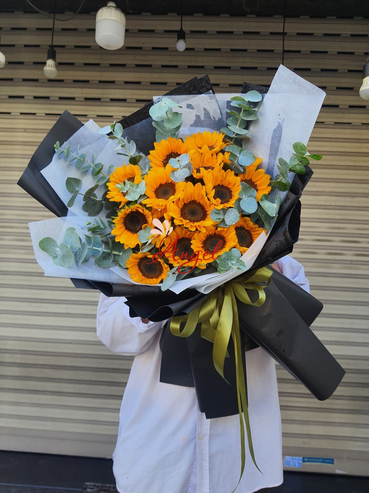 HOA HƯỚNG DƯƠNG SẮC TRỜI