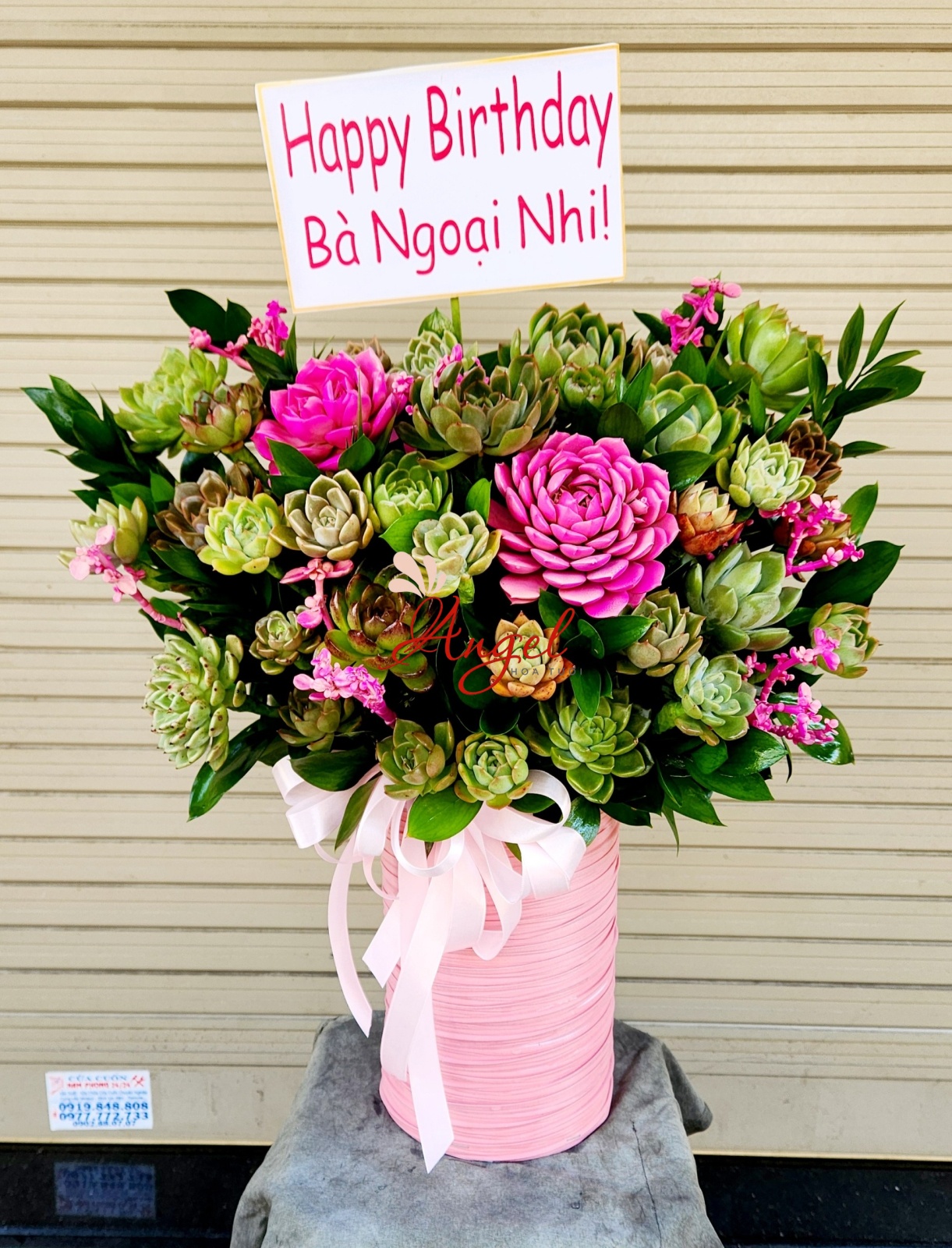 Chậu hoa sen đá