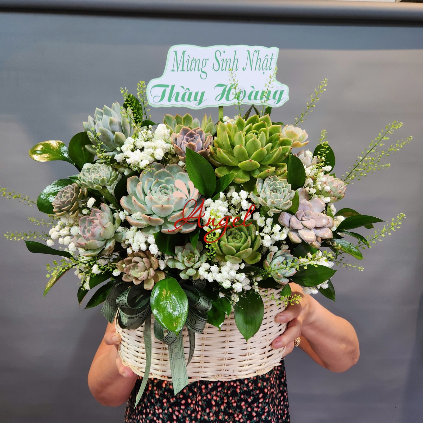 hoa sen đá mừng khai trương 