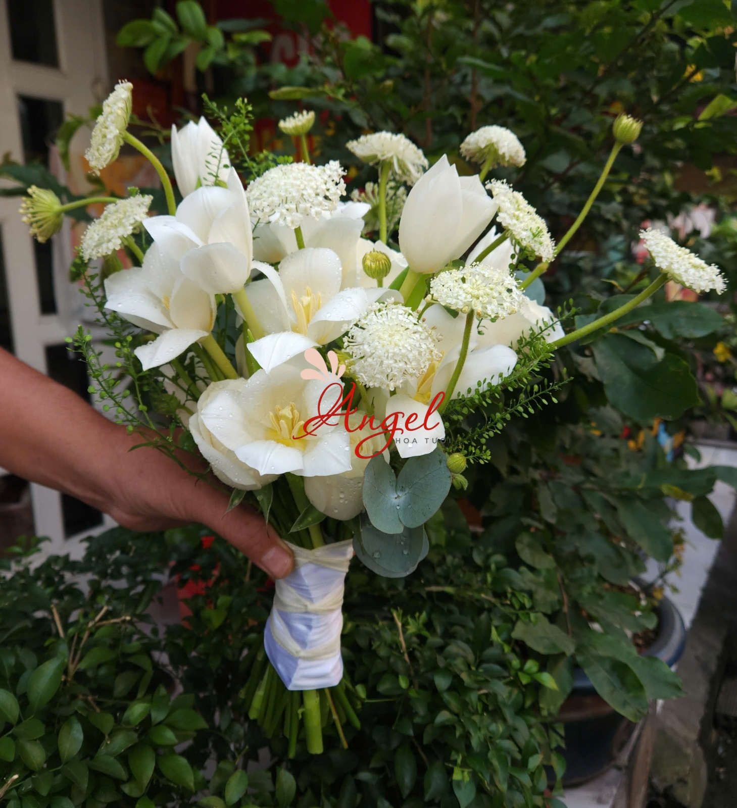 Hoa Cưới Tulip  
